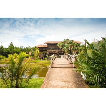 Lais Puzzle - Botanischer Garten in Brasilia, Brasilien - 2.000 Teile