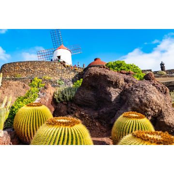 Lais Puzzle - Kaktusgarten, Jardin de Cactus in Guatiza, Lanzarote, Kanarische Inseln, Spanien - 2.000 Teile