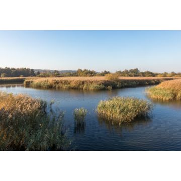 Lais Puzzle - Schöner Fluss Gudenaa bei Randers, Dänemark. Ruhiges Wasser, blauer Himmel. - 2.000 Teile