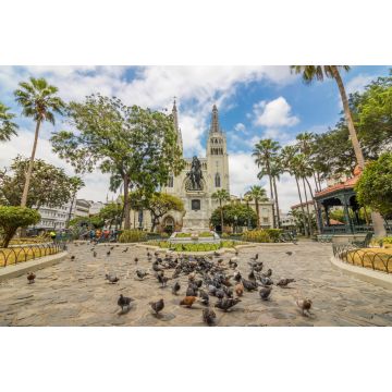Lais Puzzle - Parque Seminario Guayaquil, Ecuador - 2.000 Teile