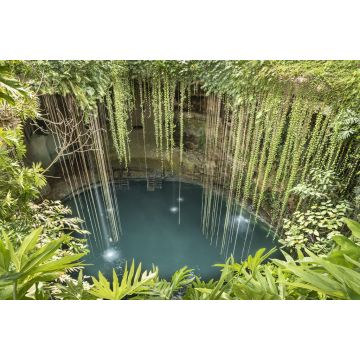 Lais Puzzle - Regenwald-Cenote auf der Halbinsel Yucatan. Tiefe, mit Süßwasser gefüllte Löcher in Yucatan, Mexiko - 2.000 Teile