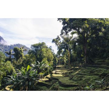 Lais Puzzle - Terrassen der verlorenen Stadt (Ciudad Perdida) in der Sierra Nevada de Sante Marta - Santa Marta/ Magdalena/ Kolumbien - 2.000 Teile