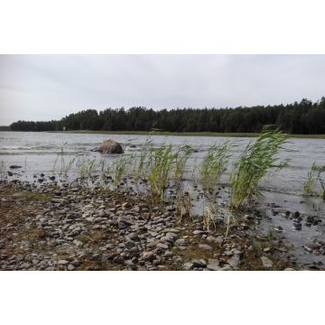 Lais Puzzle - Am Ufer des Händen See bei Kristinehamn in Schweden - 2.000 Teile