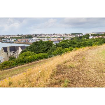 Lais Puzzle - Milford Haven, Pembrokeshire, Wales - 2.000 Teile