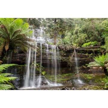Lais Puzzle - Russell Falls liegt in Tasmanien, Australien. Er befindet sich in einem üppigen, grünen Regenwald. - 2.000 Teile