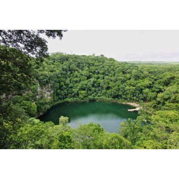 Lais Puzzle - Cenote Miguel Colorado, Mexiko - 2.000 Teile