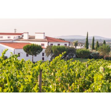 Lais Puzzle - Weingut Herdade das Servas in der Nähe von Estremoz, Bezirk Evora, Portugal - 2.000 Teile
