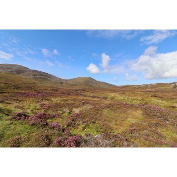 Lais Puzzle - Bays of Harris, Äußere Hebriden - 2.000 Teile