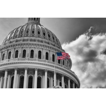 Lais Puzzle - US Flagge vor Kapitol in schwarz weiß, Washington D.C., USA - 2.000 Teile