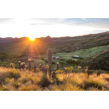 Lais Puzzle - Tot Springs (Termales de Cañón) in der Nähe des Vulkans Nevado del Tolima im Los Nevados National Park, Kolumbien - 2.000 Teile