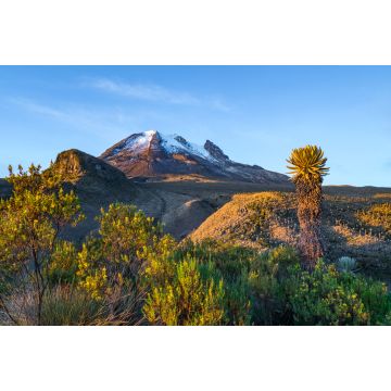 Lais Puzzle - Vulkan Tolima im Los Nevados National Park mit üppiger Vegetation frailejones (Espeletia), Kolumbien - 2.000 Teile