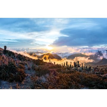 Lais Puzzle - Vulkan Tolima im Los Nevados National Park mit prächtiger Vegetation frailejones (Espeletia) Expedition mit Blick vom Basislager, Kolumbien - 2.000 Teile