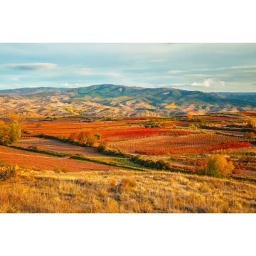 Lais Puzzle - Landschaft mit Weinbergen in La Rioja, Argentinien - 2.000 Teile