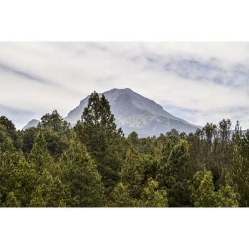 Lais Puzzle - La Malinche National Park Tlaxcala, Mexiko - 2.000 Teile