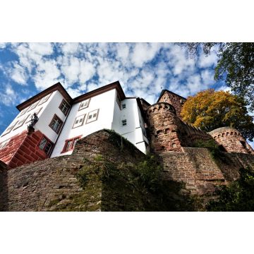 Lais Puzzle - Wormser Blick auf die Burg Zwingenberg in Baden Württemberg - 2.000 Teile