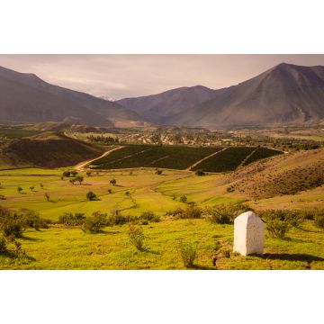 Lais Puzzle - Kakteen, Berge und Täler in der Nähe der Stadt Vicuña Vicuna. Elqui-Tal in Chile - 2.000 Teile