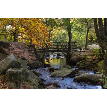 Lais Puzzle - Brücke im Padley Gorge Waldgebiet im Herbst, schöne Farben des Peak District, England - 2.000 Teile
