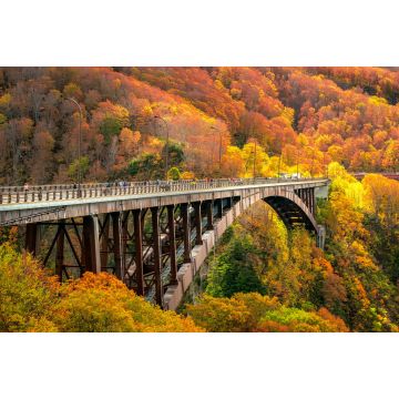 Lais Puzzle - Jogakura-Brücke, Japan - 2.000 Teile