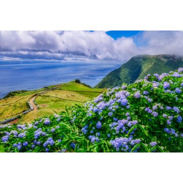 Lais Puzzle - Bild von schöner Landschaft mit Hortensien und einem Weg, der zum Atlantik auf den Azoren führt - 2.000 Teile
