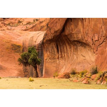 Lais Puzzle - Oase in der Inca Cueva in der Nähe von Humahuaca in der Provinz Jujuy im Norden Argentiniens. - 2.000 Teile