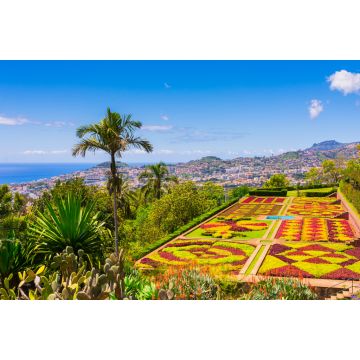Lais Puzzle - Botanischer Garten in Funchal, Insel Madeira, Portugal - 2.000 Teile