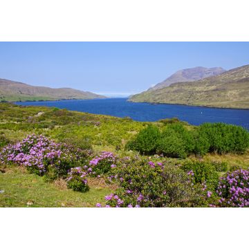Lais Puzzle - Killary Harbour, Irland - 2.000 Teile