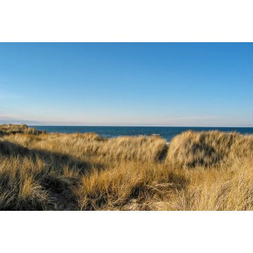 Lais Puzzle - Romantisches Refugium in der Dünenlandschaft der dänischen Insel Læsø. Prächtige Aussicht auf das glatte Wasser des Kattegatt - 2.000 Teile