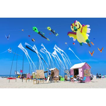 Lais Puzzle - Berck-sur-Mer - Frankreich / Festival du cerf-volant - 2.000 Teile