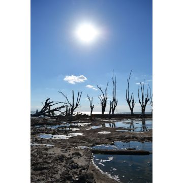 Lais Puzzle - Mar Chiquita, Córdoba, Argentinien - 2.000 Teile