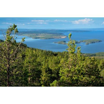 Lais Puzzle - Seenplatte bei Östersund, Schweden - 2.000 Teile