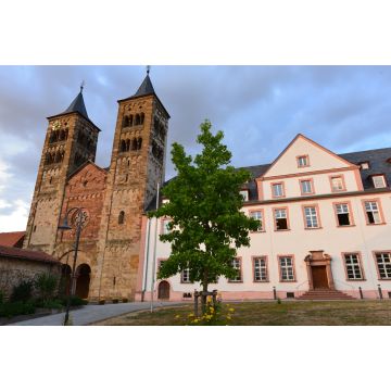 Lais Puzzle - Kloster Ilbenstadt-Niddatal im Wetteraukreis /Hessen - 2.000 Teile