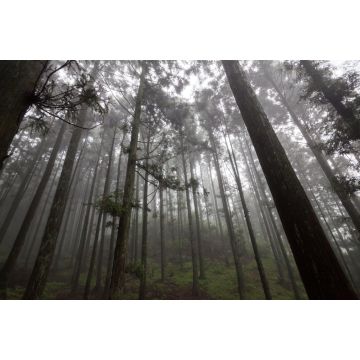 Lais Puzzle - Lushan in Jiujiang Stadt, Jiangxi, China - 2.000 Teile
