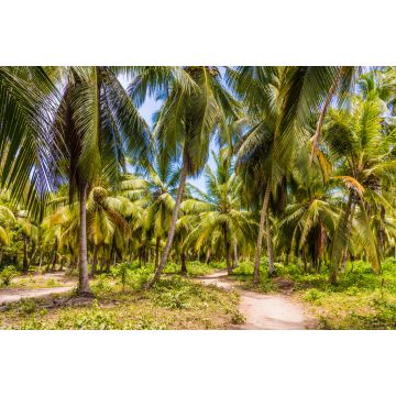 Lais Puzzle - Ein Blick im Tayrona-Nationalpark in Kolumbien - 2.000 Teile