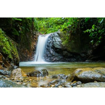 Lais Puzzle - Podocarpus, Ecuador - 2.000 Teile