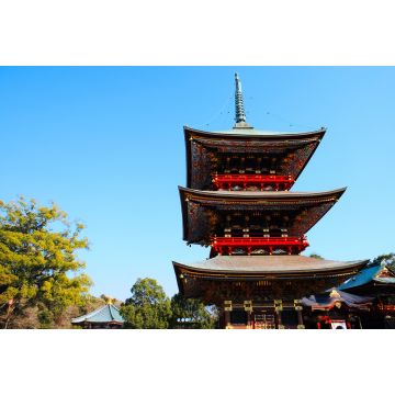 Lais Puzzle - Naritasan Shinshoji-Tempel, Japan - 2.000 Teile