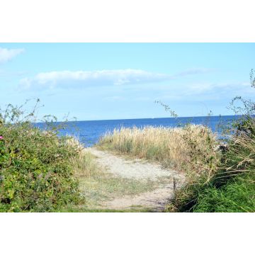 Lais Puzzle - Strand auf Samsø - 2.000 Teile