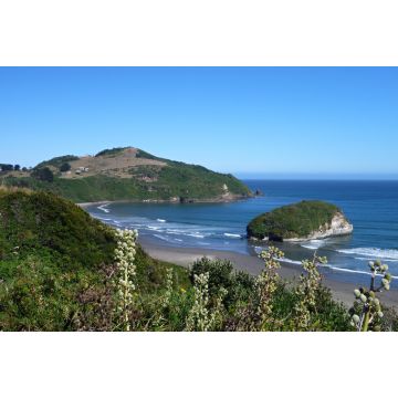 Lais Puzzle - Pinguin Reservierung Islotes de Punihuil auf Chiloe Island in Chile - 2.000 Teile