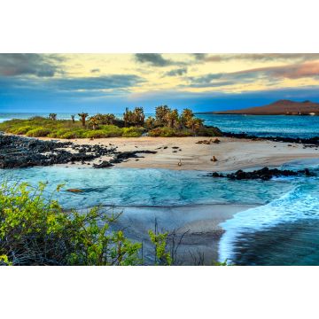 Lais Puzzle - Galapagos-Inseln, Ecuador - 2.000 Teile