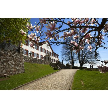 Lais Puzzle - Schloss Bürgeln bei Schliengen im Markgräflerland - 2.000 Teile
