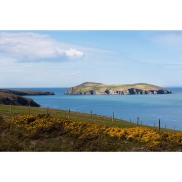 Lais Puzzle - Cardigan Island, Ceredigion, Wales - 2.000 Teile
