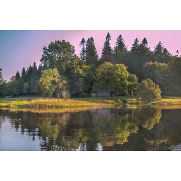 Lais Puzzle - Haus im Wald von Killykeen, Forest Park, in Cavan, Irland - 2.000 Teile