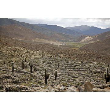 Lais Puzzle - Präkolumbianische Ruinen (Ruinas de Tastil) in der Puna, Salta, Argentinien - 2.000 Teile