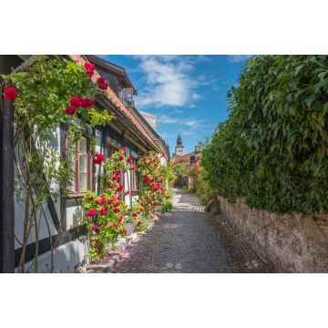 Lais Puzzle - Mittelalterliche Gasse in der historischen Hansestadt Visby auf der schwedischen Ostseeinsel Gotland - 2.000 Teile