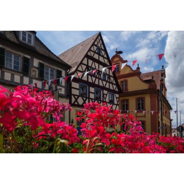 Lais Puzzle - Scheßlitz im Sommer - 2.000 Teile