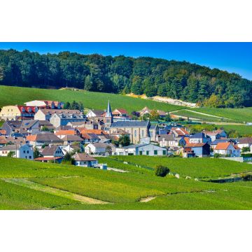 Lais Puzzle - Champagner-Weinberge Mancy im Departement Marne, Frankreich - 2.000 Teile