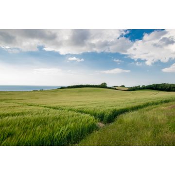 Lais Puzzle - Die Aussicht von Vejrhoej - Odsherred - 2.000 Teile