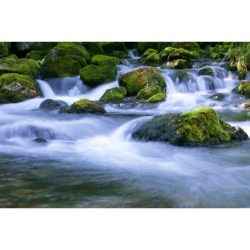 Lais Puzzle - Waldbach - 2.000 Teile