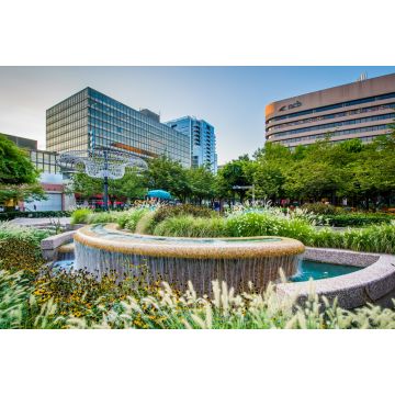 Lais Puzzle - Arlington, Virginia - 2.000 Teile