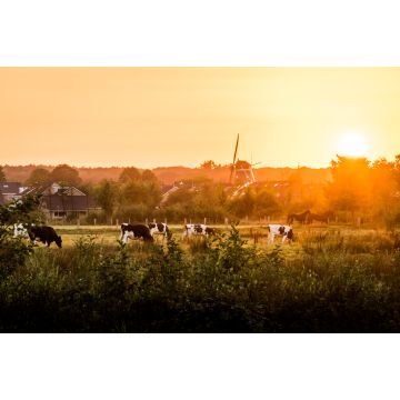 Lais Puzzle - Hellendoorn im Sonnenuntergang - 2.000 Teile