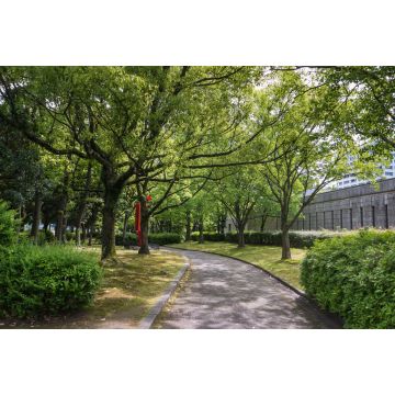 Lais Puzzle - Hiroshima Kunstmuseum, Japan - 2.000 Teile